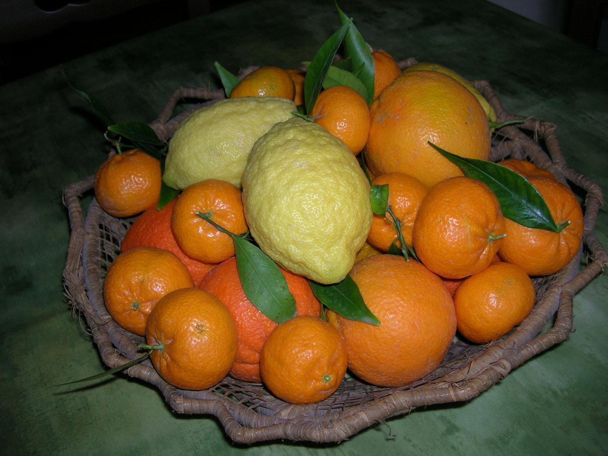 Agriturismo Baglio Donna Santa Dattilo エクステリア 写真