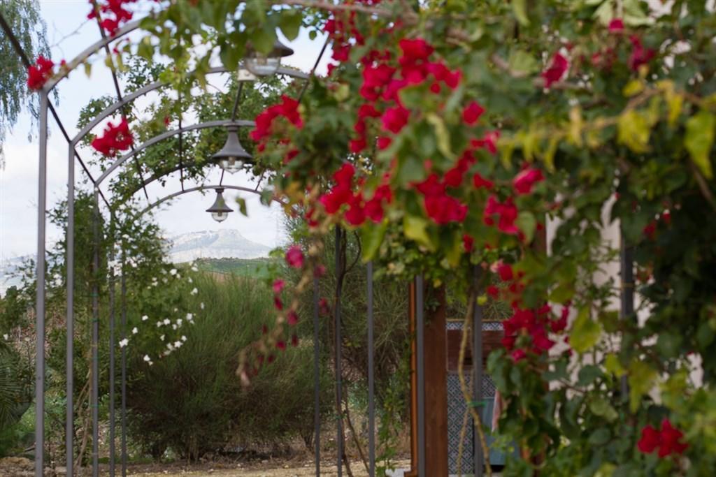 Agriturismo Baglio Donna Santa Dattilo エクステリア 写真